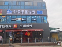 안중동물병원
