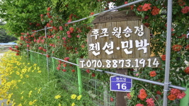 후포월송정펜션n민박