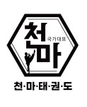 한국체대천마태권도