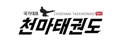 한국체대천마태권도