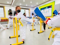 한국체대천마태권도