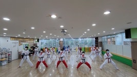 한체대고려태권도