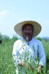 무궁화식품