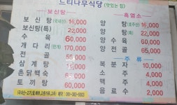 느티나무집