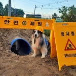 멍스컨테이너 일산점