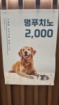 카페마일로 오션테라스수변공원점