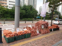 삼촌네야채청과