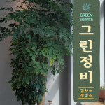 그린정비
