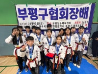 인하한별태권도