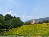 구세군백화산수련원