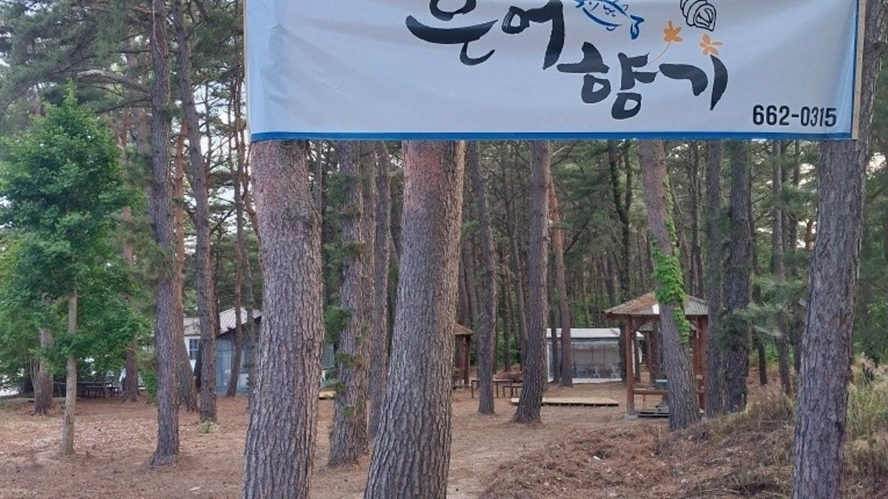 은어향기