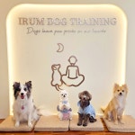 이룸독 반려견 유치원&호텔