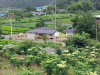 느린오후가있는집