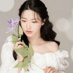 레드셔터스튜디오 광주점