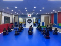 국가대표최강태권도