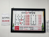 싱싱오리