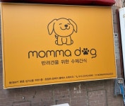 맘마독