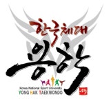 한국체대 용학태권도
