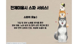 착하개