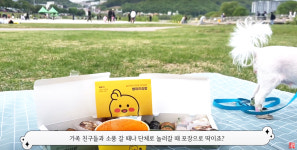 병아리김밥 전주평화골드클래스점