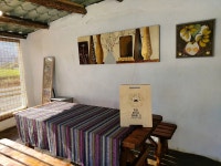 느린오후가있는집