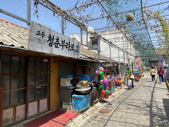 청춘부라보 사진