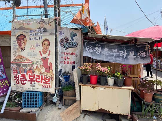 청춘부라보 사진
