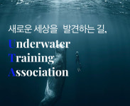 원스프리