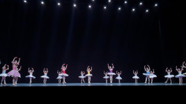 이미정발레아카데미학원