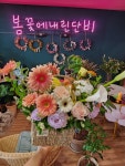 봄꽃에내린단비