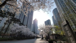 JS파크리오공인중개사사무소