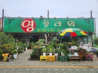 영플라워
