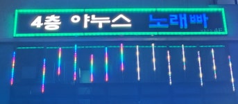 야누스노래빠