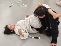 제주 서귀포 싸이코핏불스 서홍점
