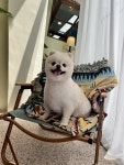 메모르드몽