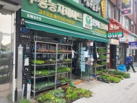현대종묘사