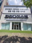 파라다이스펫 강아지분양 고양이분양 대전 본점