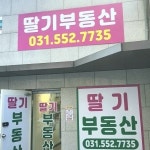 딸기부동산공인중개사사무소