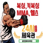 용인대NEW복싱 본점