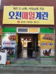 오천매일계란