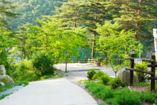 양양오색휴랜드야영장