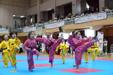 한국체대아라태권도장