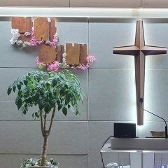샘물교회