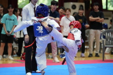 한국체대아라태권도장