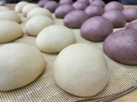 소라네 만두 찐빵