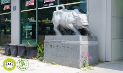 우리소
