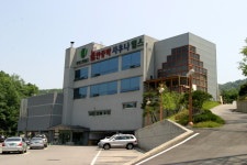 중앙골프