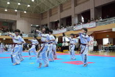 한국체대아라태권도장