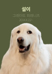 시티독
