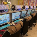 욜로PC방 칠곡석적점